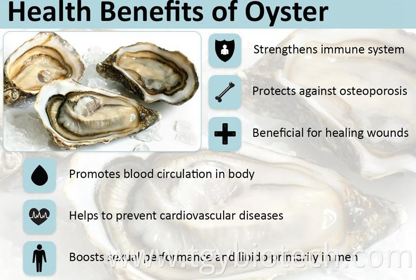 Oyster Extract powder